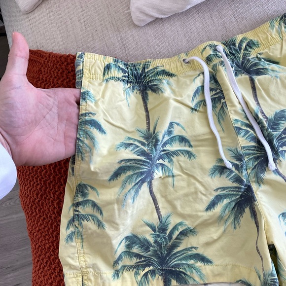 PacSun Swimtrunks - Picture 2 of 3